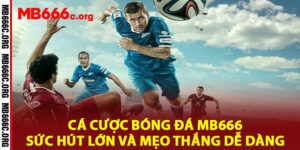Cá Cược Bóng Đá