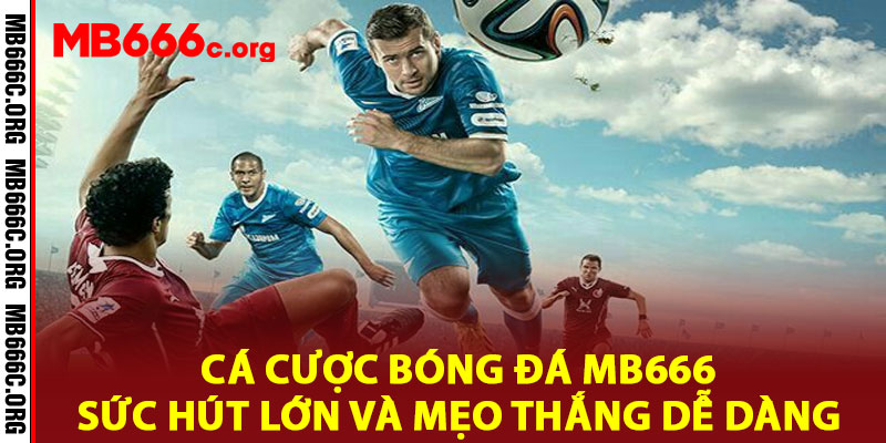 Cá Cược Bóng Đá