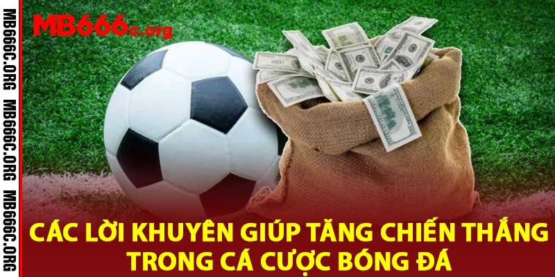 cá cược bóng đá